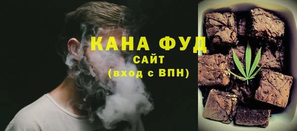 индика Магас