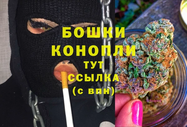 spice Абаза