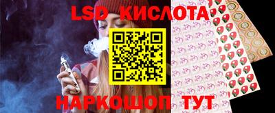 шишки Кудрово