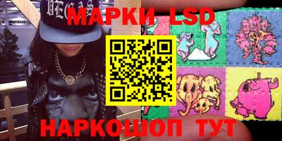 СК Можга