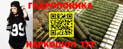 гидра Кузнецк