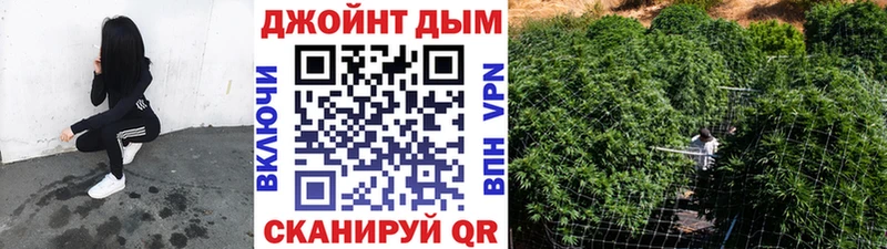 закладки  Химки  Марихуана конопля 