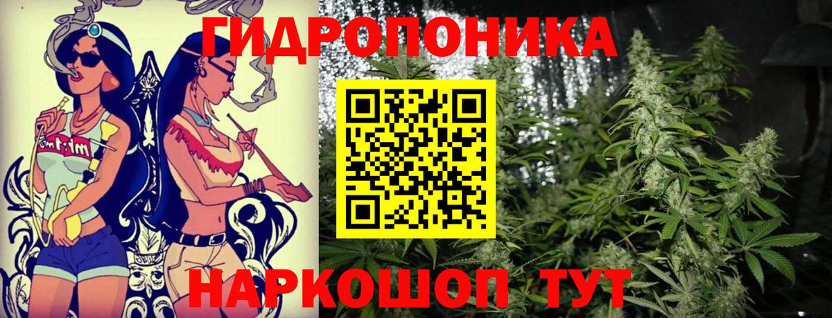 Конопля марихуана  Вход с VPN  Химки  Каннабис план  Шишки марихуана гибрид  Канабис ГИДРОПОН 